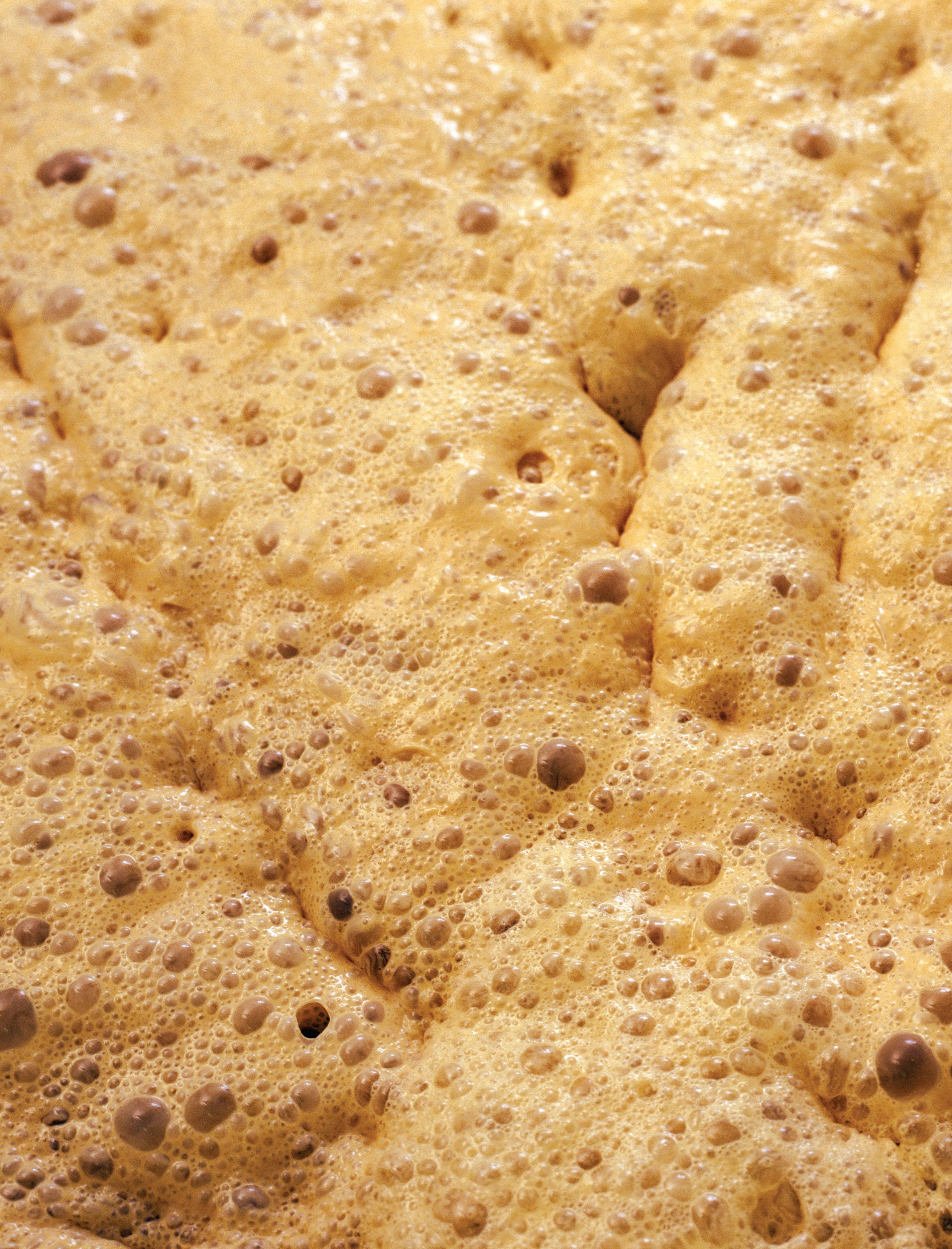 Everything you need to know about… yeast Beers of the World Magazine